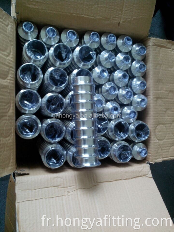 Sanitary Ss304 Ferrule